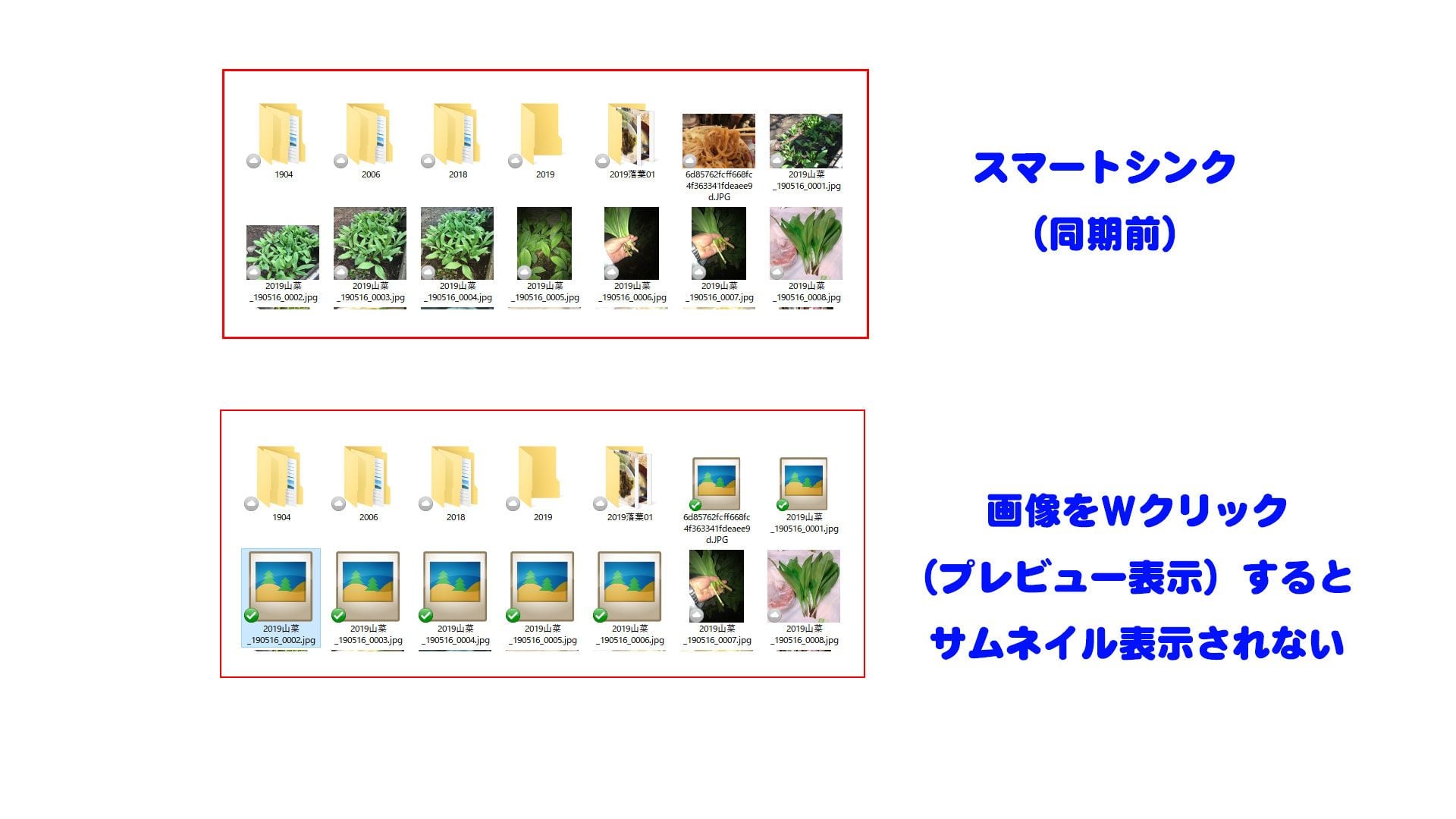 ゆっくり　803530 オプションお写真2枚目掲載 画像のサムネイルが表示されない - Dropbox Community