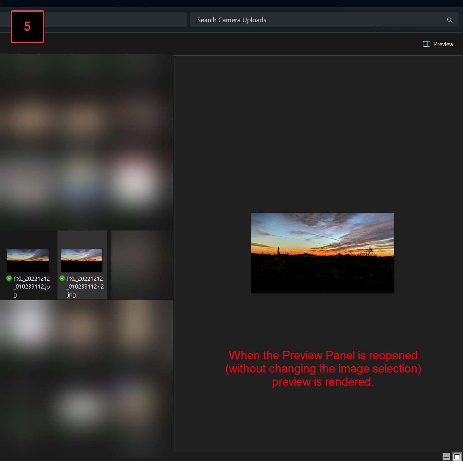 On my Windows 11, the preview panel renders nothing for my images ...