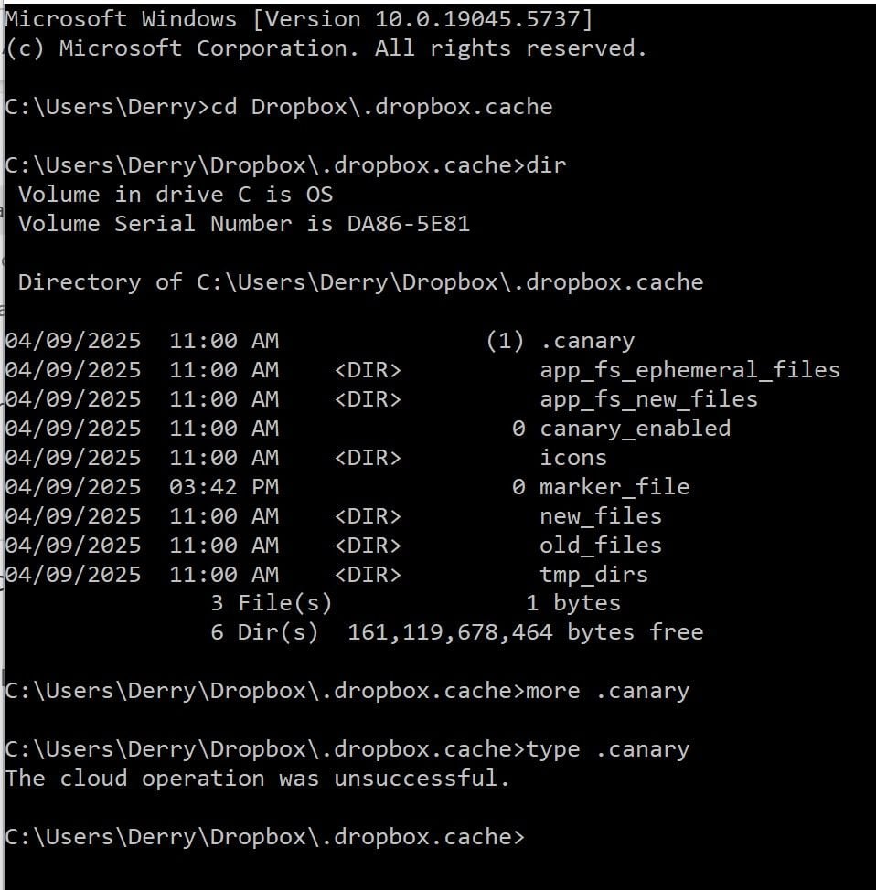 There's a .canary file causing syncing issues on my Dropbox app ...